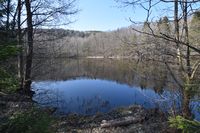 22. Den nederste av Nydammene 2020 (N0020).JPG