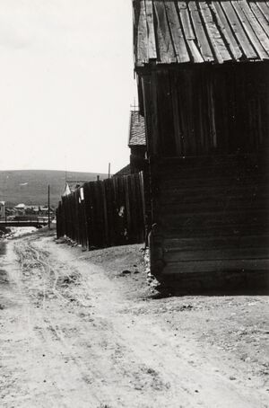 Direktørgården, Sør-Trøndelag - Riksantikvaren-T359 01 0582.jpg