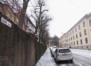 Diriks’ gate Oslo 2014.jpg