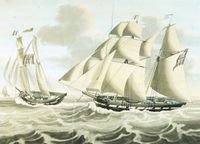 Skonnert «Familiens Haab», Kristiansund 1833. Måla av Dirk Antoon Teupken d.y. Denne liknar på ein skonnertbrigg ettersom han har breifokk. Fokkemasta er todelt og har saling som typisk for skonnert.