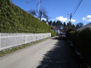 Doktor Rustads vei Oslo 2015.jpg