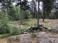 Dragen. Foto 2023 Steinar Bunæs.