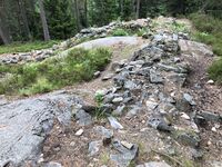 Dragen. Foto 2023 Steinar Bunæs.