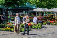 Fargerikt på blomstertorget en junidag. Foto: Leif-Harald Ruud (2008).