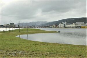 Drammenselva07.jpg