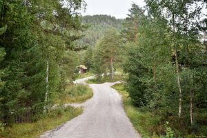 Drangedal, Rådyrspranget-1.jpg