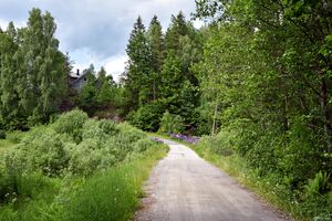 Drangedal, Vefallveien-1.jpg