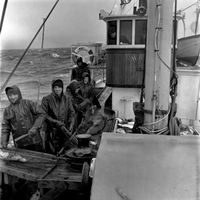 Her dreg karane torskegarn. Dette er i Lofoten, kuling og slingring. Gerhard Leine fyl med frå det opne rorhusglaset. På dekk, Osvald Leine, Sigmund Voldsund, Elias Leine, Julius Remøy og Ragnvald Flusund.