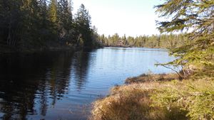 Dritartjern (be-2015-05-14-DSCN2600).JPG