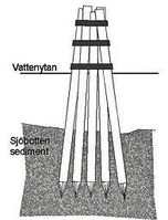 Slik er duc d'Albe-prinsippet. Pæler banket ned på skrå i sjøbunnen og samlet i toppen. Omtrent slik var de fire konstruksjonene som Johan Schjelvan og John Pedersen Haugen banka ned i Eggebogen.