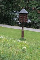 453. Dueslag ved Akerselva i Oslo.JPG