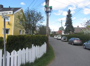 Duggveien Oslo 2014.jpg