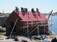 Dugnad på stakenaustet. Foto: Trond Svenningsen