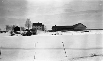 Dulsrud 1915.png