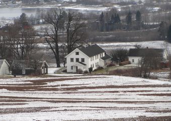 Dyren gård Østre Toten 2014.jpg