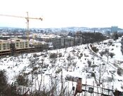 Sør for Telthusbakken ligger et parsellhageområde. Foto: Stig Rune Pedersen