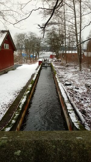 Eidet tømmertunnel utløp fra tunnelåpningen.jpg