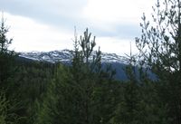 159. Eidsfjell Numedal 1333 moh.jpg