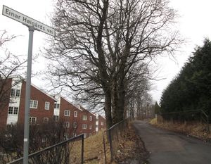 Einar Høigårds vei Oslo 2013.jpg