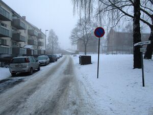 Eindrides vei Oslo 2014.jpg