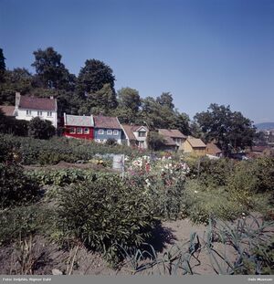 Ekebergløkka parsellhage.jpg