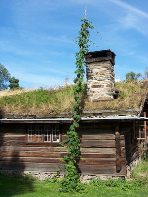 Eldhus fra Bakke i Rollag Norsk Folkemuseum 24 (2).JPG