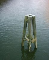 Eldre duc d'Albe i Oberhafkanalen i Hamburg.