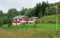 463. Elg ved Storvannet.jpg