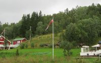 464. Elg ved Storvannet 2.jpg
