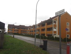 Elgtråkket Oslo 2014.jpg