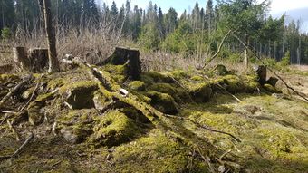 Eliasjordet under Sidselrud Kongsvinger kommune.jpg