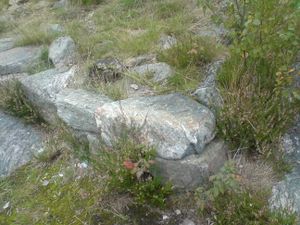 Ellingsrud nordre I.JPG