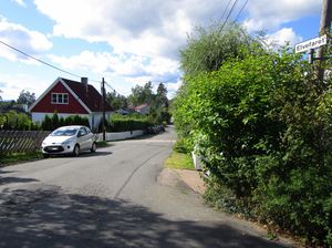 Elvefaret Oslo 2015.jpg