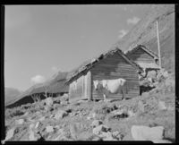 212. En ku og seter - no-nb digifoto 20151105 00019 NB MIT FNR 06515.jpg