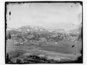 En reinsdyrflokk - NB MS G4 0497.jpg