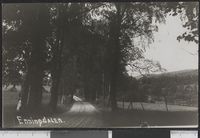 259. Enningdalen - no-nb digifoto 20160108 00307 bldsa PK13711.jpg