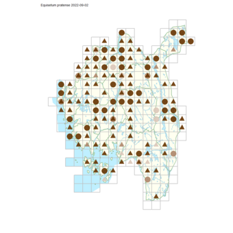 Equisetum pratense.png