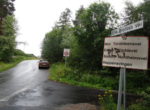 Erik Brofoss vei Kongsberg 2015.jpg