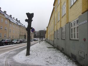 Erika Nissens gate Oslo 2014.jpg