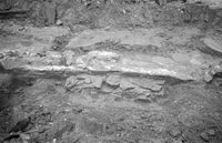 270. Erkebispegården, Clemenskapellet, Hordaland - Riksantikvaren-T248 02 0873.jpg