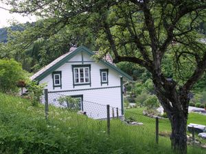 Esehaugen - Jæger.jpeg