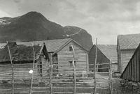 Hesjer i Granvin i Hardanger. Foto: Anders Bugge