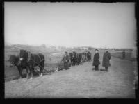 239. Etterstad pløining - no-nb digifoto 20160330 00349 NB NS NM 09524.jpg