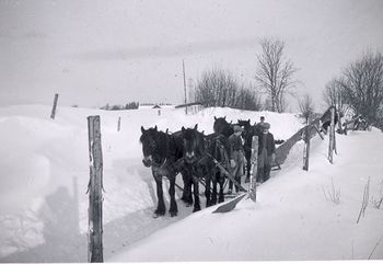 Evang snøplog 1930-åra.jpg