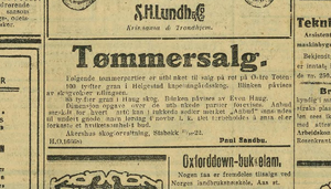 Even Haug Nationen 1922.png