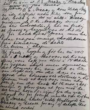 Even Haug dagbok Ole E. Nøkleberg.jpg