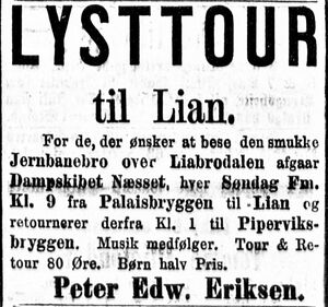 Faksimile Aftenposten 1878 annonse Ljansbrua.JPG