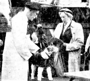 Faksimile Aftenposten 1954 Otto Hassel.JPG