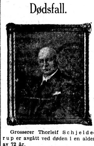 Faksimile Aftenposten Thorleif Schjelderup 1931.JPG