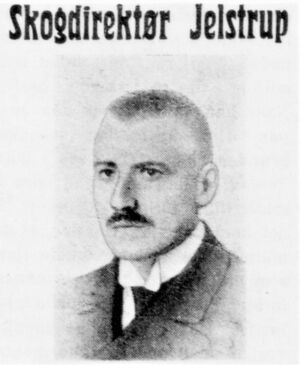 Faksimile Nordenfjeldsk Tidende 5 jan 1917.JPG